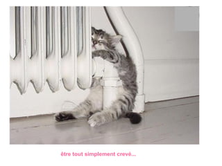 être tout simplement crevé...   