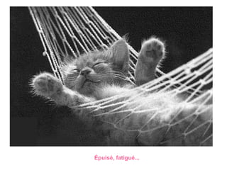 Épuisé, fatigué...   