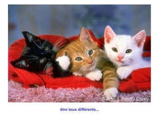 être tous différents...   