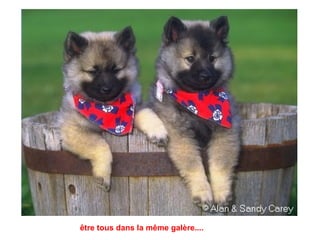 être tous dans la même galère....   