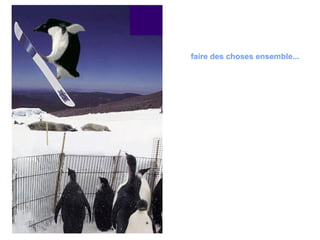 faire des choses ensemble...   