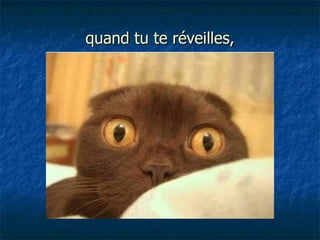 quand tu te réveilles, 