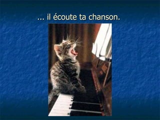 ... il écoute ta chanson.  
