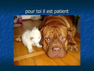pour toi il est patient 