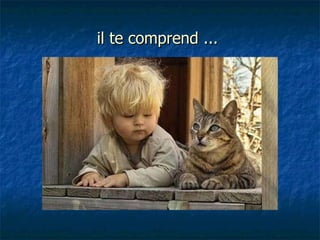 il te comprend ...  