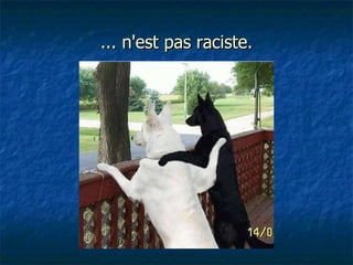 ... n'est pas raciste. 