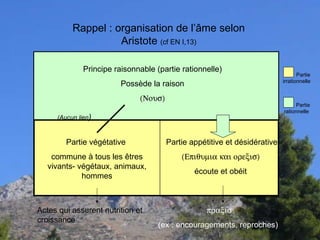 Partie appétitive et désidérative   écoute et obéit  Actes qui assurent nutrition et croissance    (ex : encouragements, reproches) Partie végétative  commune à tous les êtres vivants- végétaux, animaux, hommes (Aucun lien ) Principe raisonnable (partie rationnelle) Possède la raison  Rappel : organisation de l’âme selon Aristote  (cf EN I,13) Partie irrationnelle  Partie rationnelle 