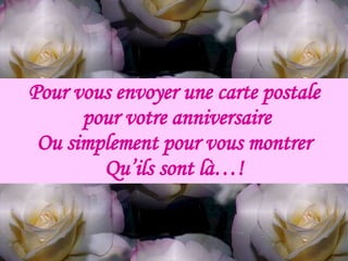 Pour vous envoyer une carte postale pour votre anniversaire Ou simplement pour vous montrer Qu’ils sont là…! 