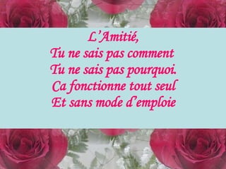 L’Amitié, Tu ne sais pas comment  Tu ne sais pas pourquoi. Ca fonctionne tout seul Et sans mode d’emploie 