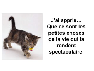J'ai appris…
Que ce sont les
petites choses
de la vie qui la
rendent
spectaculaire.
 