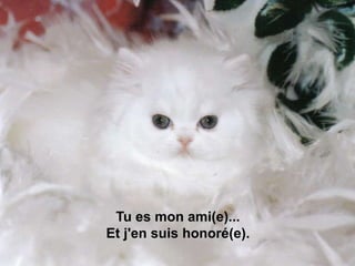 Tu es mon ami(e)...
Et j'en suis honoré(e).
 