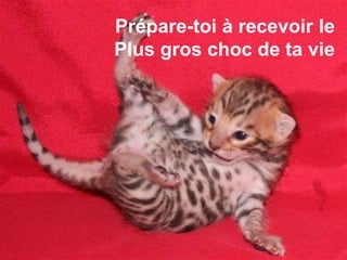 Prépare-toi à recevoir le
Plus gros choc de ta vie
 