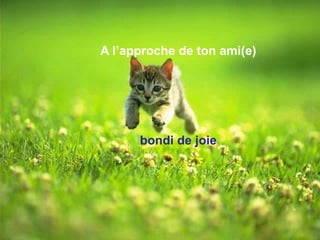 A l’approche de ton ami(e)
bondi de joie
 