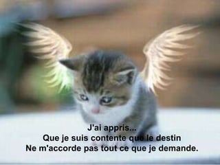 J'ai appris...
Que je suis contente que le destin
Ne m'accorde pas tout ce que je demande.
 