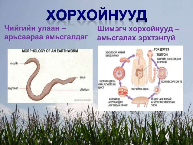 Amitni amisgalah erhten