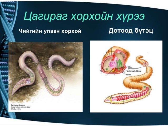 Amitnii aimag