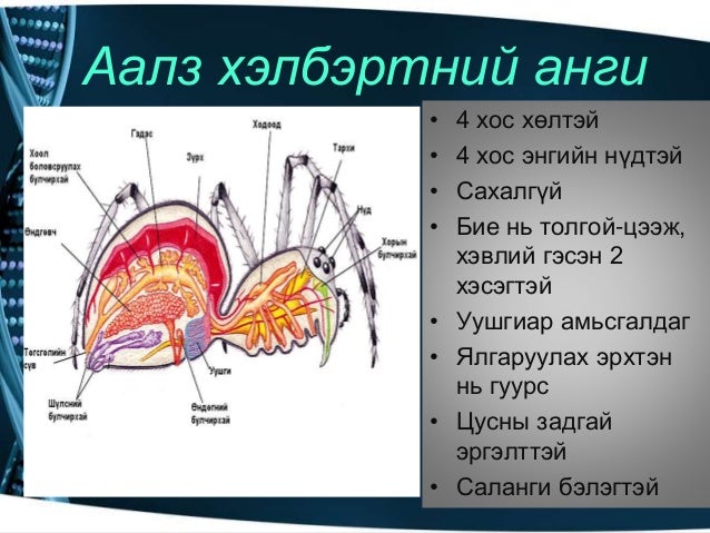 Amitnii aimag