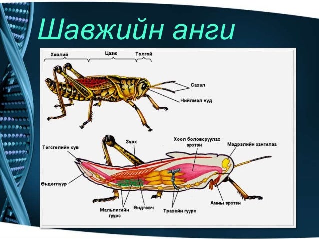 Amitnii aimag