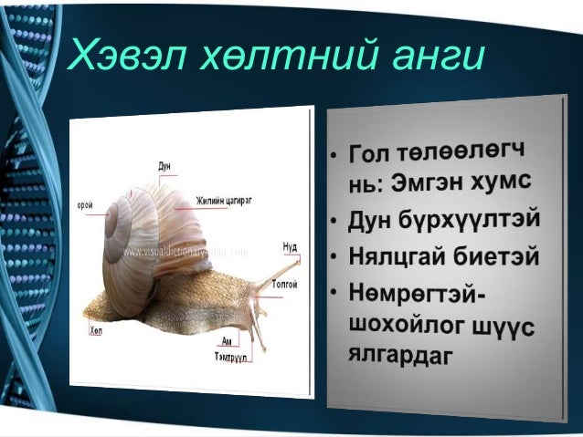 Amitnii aimag