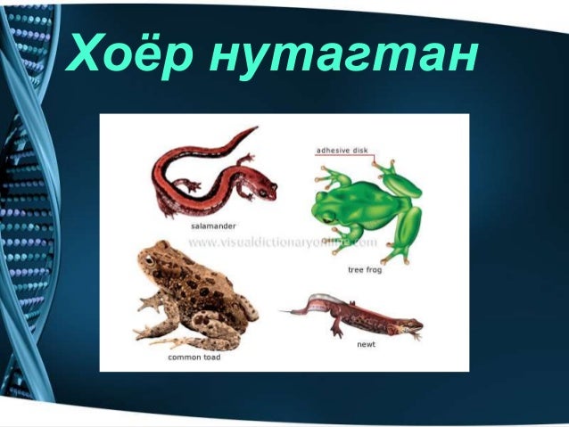 Amitnii aimag