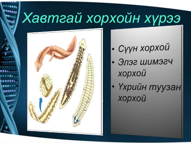 Amitnii aimag