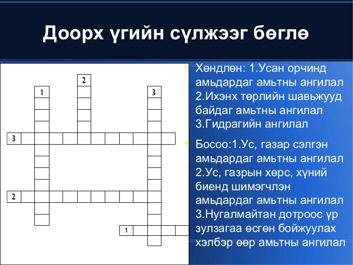 Amitnii angilal12