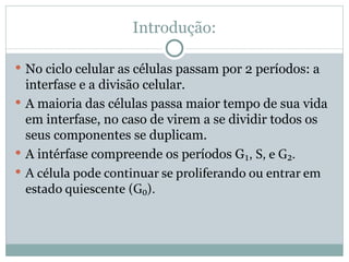 Introdução: No ciclo celular as células passam por 2 períodos: a interfase e a divisão celular. A maioria das células passa maior tempo de sua vida em interfase, no caso de virem a se dividir todos os seus componentes se duplicam. A intérfase compreende os períodos G ₁, S, e G₂. A célula pode continuar se proliferando ou entrar em estado quiescente (G₀). 
