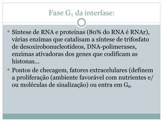 Fase G ₁ da interfase: Síntese de RNA e proteínas (80% do RNA é RNAr), várias enzimas que catalisam a síntese de trifosfato de desoxirobonucleotídeos, DNA-polimerases, enzimas ativadoras dos genes que codificam as histonas... Pontos de checagem, fatores extracelulares (definem a proliferação (ambiente favorável com nutrientes e/ou moléculas de sinalização) ou entra em G ₀. 