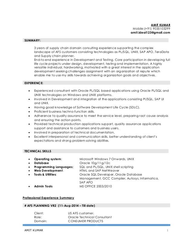 amit resume 3 year summary p l