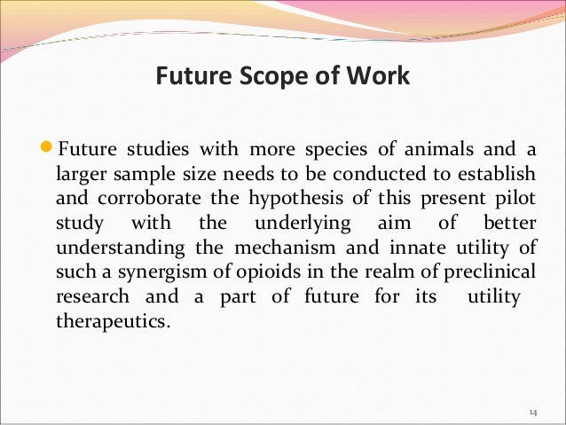 scope of work in thesis