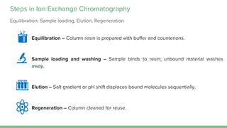 ion exchange chromatography and affinity between them | PDF