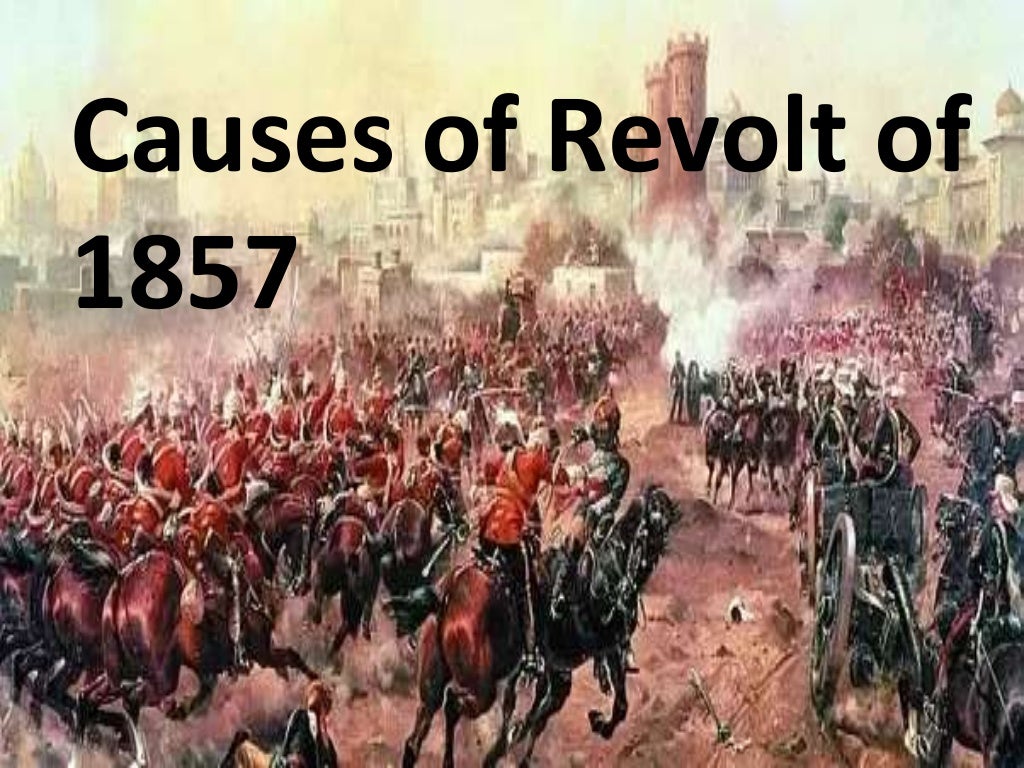 causes of revolt essay