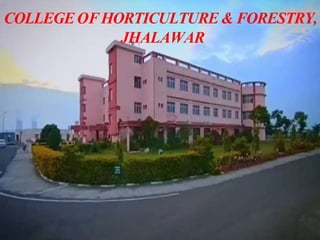 COLLEGEOFHORTICULTURE& FORESTRY,
JHALAWAR
 