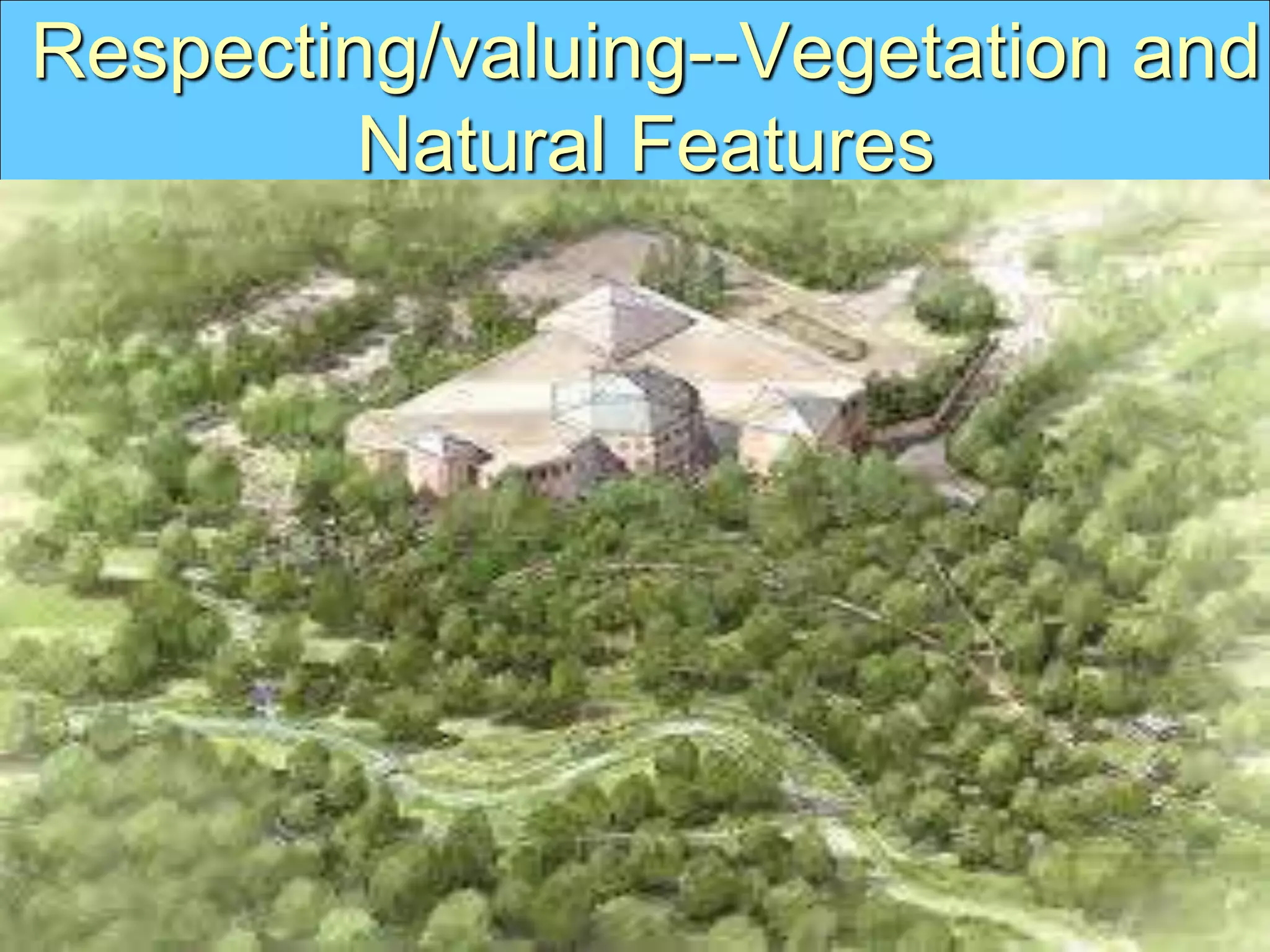 Respecting/valuing--Vegetation and
Natural Features
 