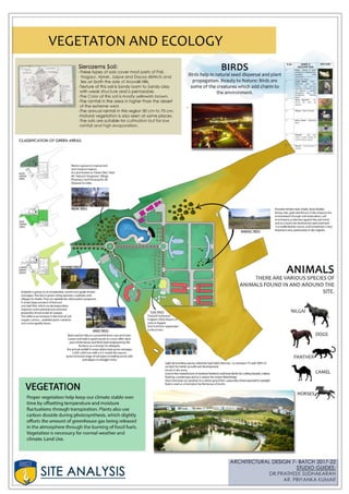 Amity university Rajasthan case study and site analysis