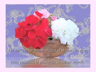 Un ami est un trésor vivant et si vous en avez
                     un,
 vous possédez la plus belle chose au monde.
 