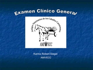 Examen Clínico General Karina Robert Siegel AMIVECC 