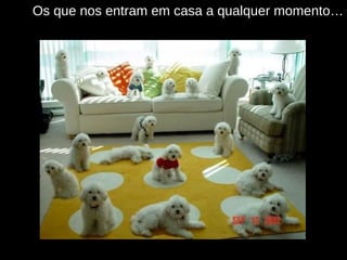 Os que nos entram em casa a qualquer momento… 