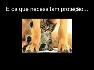 E os que necessitam proteção... 