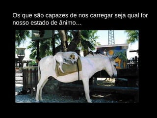 Os que são capazes de nos carregar seja qual for nosso estado de ânimo… 