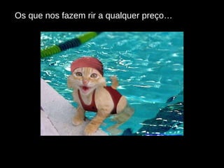 Os que nos fazem rir a qualquer preço… 