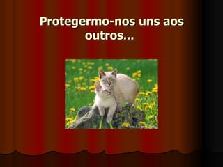   Protegermo-nos uns aos outros...   