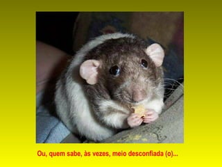 Ou, quem sabe, às vezes, meio desconfiada (o)...   