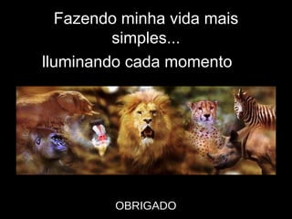 Fazendo minha vida mais simples... I  lluminando cada momento OBRIGADO 