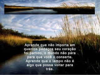 Aprende que não importa em
quantos pedaços seu coração
foi partido, o mundo não pára
para que você o conserte.
Aprende que o tempo não é
algo que possa voltar para
trás.
 