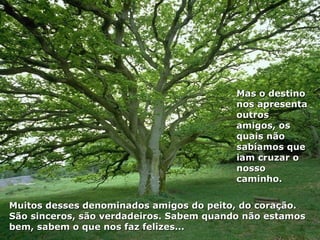 Muitos desses denominados amigos do peito, do coração. São sinceros, são verdadeiros. Sabem quando não estamos bem, sabem o que nos faz felizes... Mas o destino nos apresenta outros amigos, os quais não sabíamos que iam cruzar o nosso caminho.  