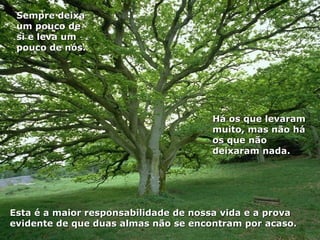 Esta é a maior responsabilidade de nossa vida e a prova evidente de que duas almas não se encontram por acaso. Há os que levaram muito, mas não há os que não deixaram nada.  Sempre deixa um pouco de si e leva um pouco de nós. 