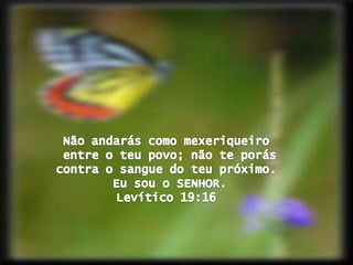 Não andarás como mexeriqueiroentre o teu povo; não te porás contra o sangue do teu próximo.Eu sou o SENHOR.Levítico 19:16