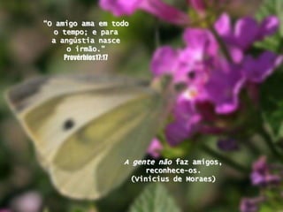 “O amigo amaemtodoo tempo; e paraa angústianasce o irmão.” Provérbios17:17 A gentenãofaz amigos,reconhece-os.(Vinicius de Moraes)
