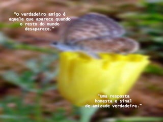 “O verdadeiro amigo é aquelequeaparecequando o resto do mundodesaparece." “Uma respostahonesta e sinalde amizadeverdadeira.”